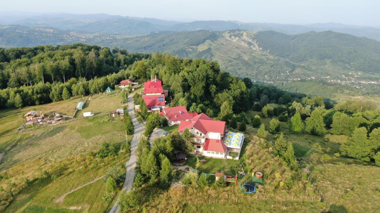 Pensiune Runcu Stone Екстериор снимка